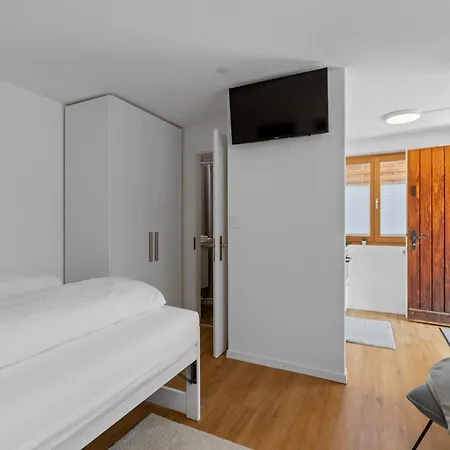 Gemuetliche 1 In Davos Naehe Der Skigebiete Davos アパート *